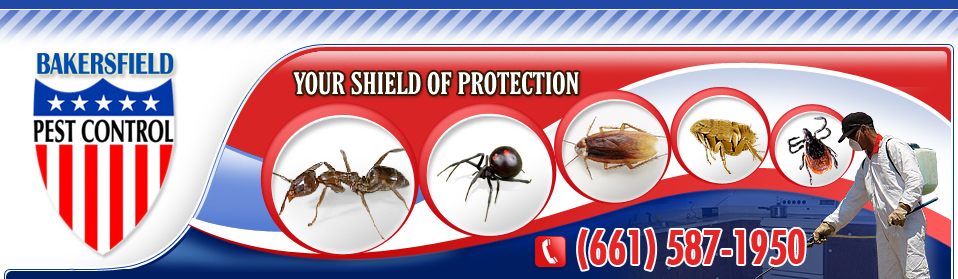 Bakersfield Pest Control